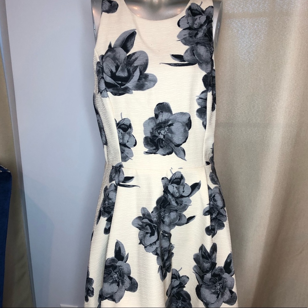 Atwell Black White Floral Dress